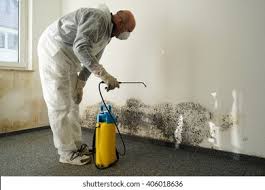 Best Mold Prevention Services  in Lyons, NJ